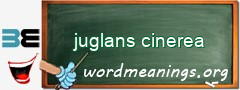 WordMeaning blackboard for juglans cinerea
